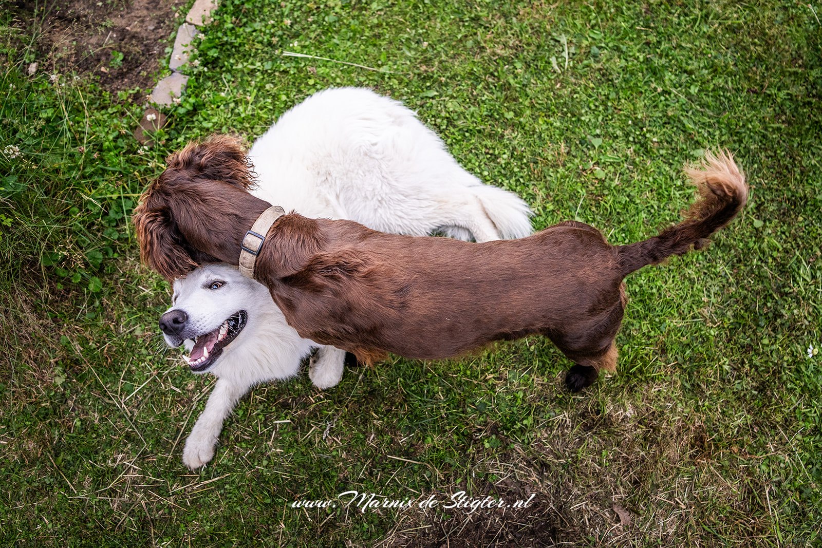 Daphne & Yves